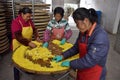 ANHUI PROVINCE, CHINA Ã¢â¬â CIRCA OCTOBER 2017: Women working inside the factory for chrysanthemum tea. Royalty Free Stock Photo